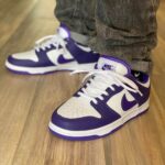 Nike Sb Dunk Low Pro Court Purple