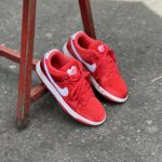 Nike Sb Dunk Valentine Day 2024