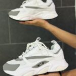 Dior B22 White Gray