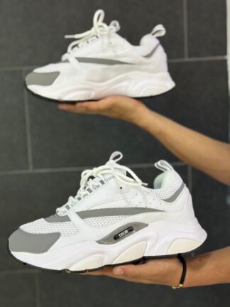 Dior B22 White Gray